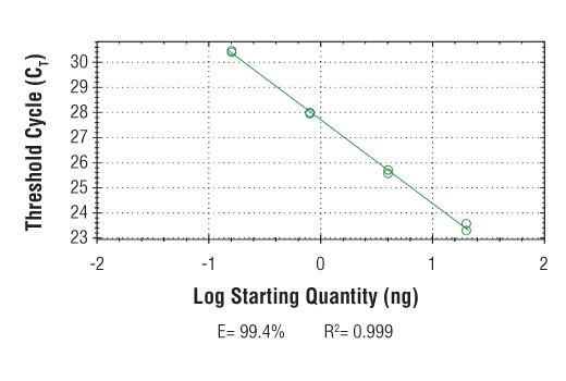 SimpleChIP® Human KLK3 Promoter Primers - 500 ul