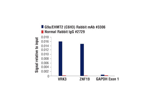 Lysine Methyltransferase Antibody Sampler Kit - 1 Kit