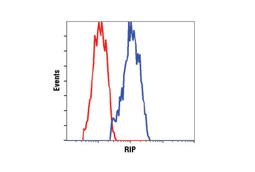 Necroptosis Antibody Sampler Kit - 1 Kit