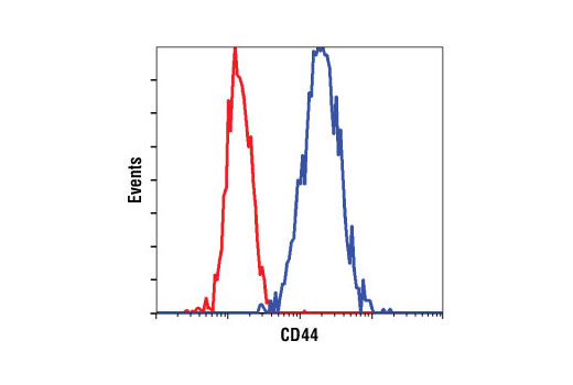 Wnt/β-Catenin Activated Targets Antibody Sampler Kit - 1 Kit