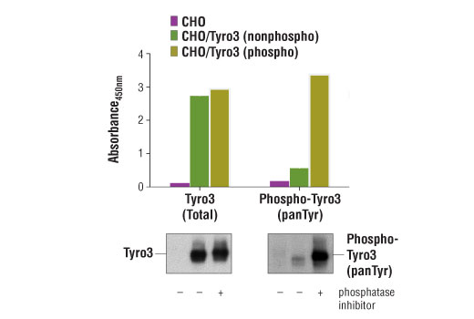 PathScan® Total Tyro3 Sandwich ELISA Kit - 1 Kit