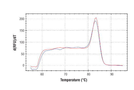 SimpleChIP® Mouse CXCL2 Promoter Primers - 500 ul