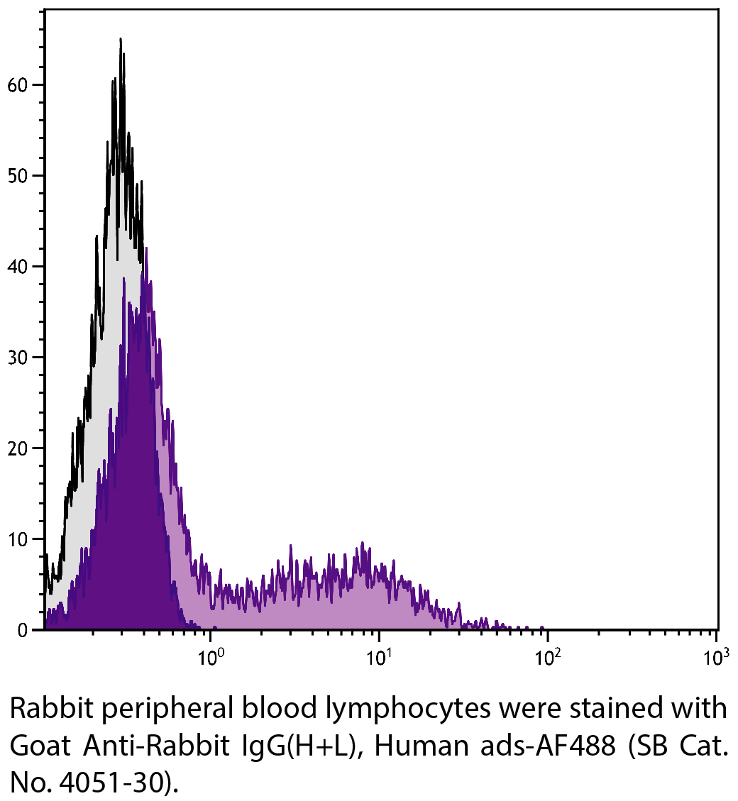 Goat Anti-Rabbit IgG(H+L), Human ads-AF488 - 1.0 mg