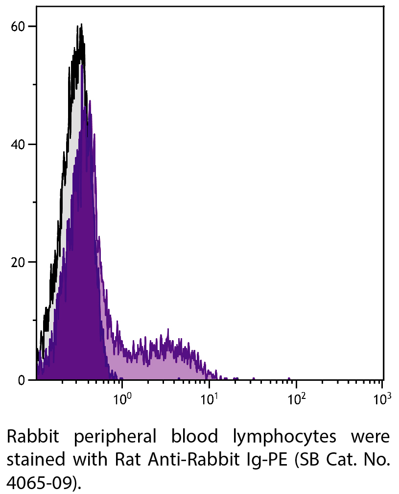 Rat Anti-Rabbit Ig-PE - 0.1 mg