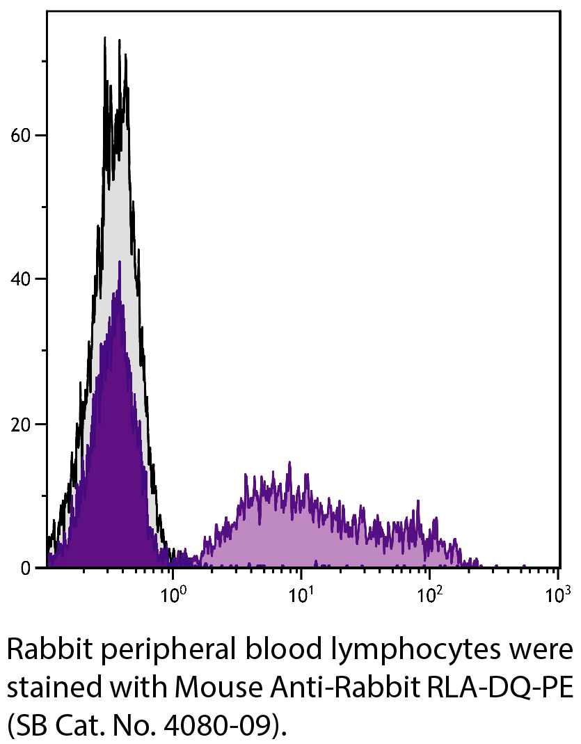 Mouse Anti-Rabbit RLA-DQ-PE - 0.1 mg