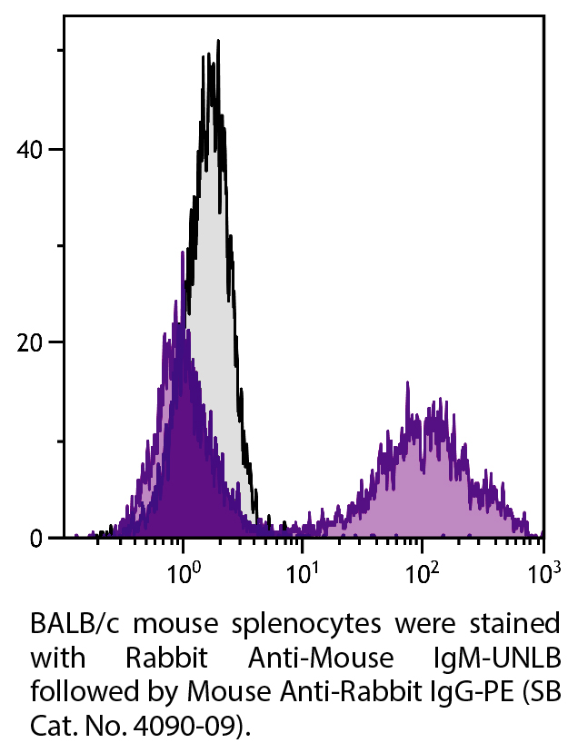 Mouse Anti-Rabbit IgG-PE - 0.1 mg