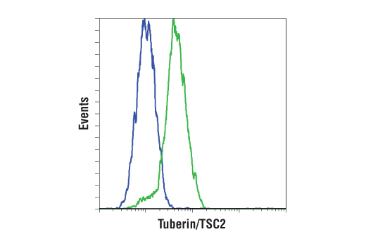 Phospho-TSC2 Antibody Sampler Kit - 1 Kit