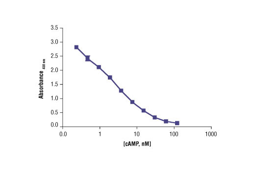 Cyclic AMP XP® Assay Kit - 1 Kit