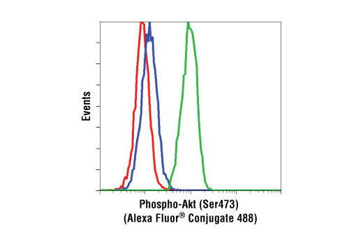 Rabbit IgG Isotype Control (Alexa Fluor® 488 Conjugate) - 100 ul