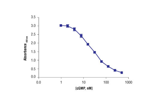 Cyclic GMP XP® Assay Kit - 1 Kit