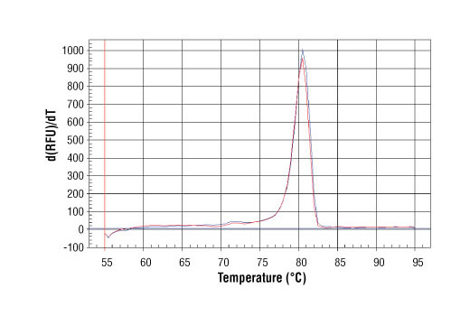 SimpleChIP® Human α Satellite Repeat Primers - 500 ul