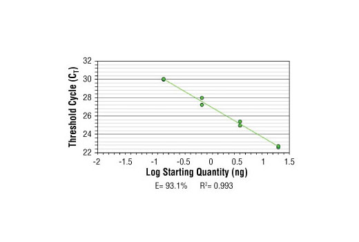 SimpleChIP® Human MyoD1 Exon 1 Primers - 500 ul