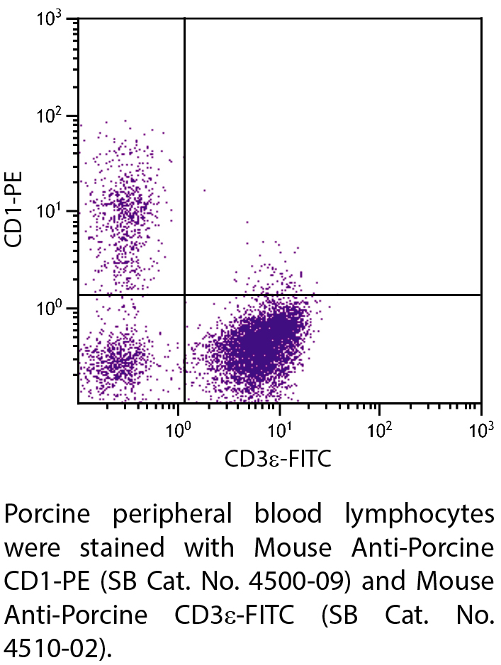 Mouse Anti-Porcine CD1-PE - 0.1 mg