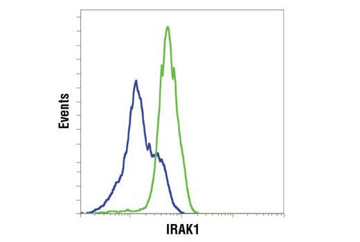 IRAK Isoform Antibody Sampler Kit - 1 Kit