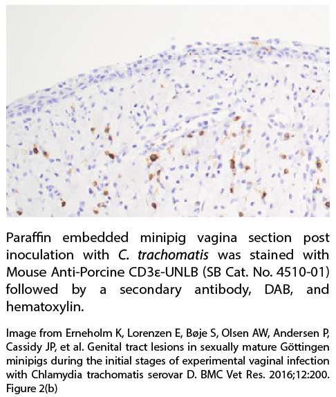 Mouse Anti-Porcine CD3ε-UNLB - 0.5 mg