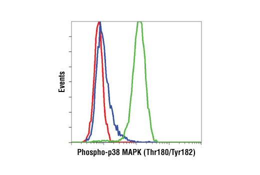 Phospho-MAPK Family Antibody Sampler Kit - 1 Kit