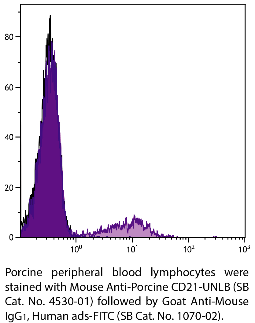 Mouse Anti-Porcine CD21-UNLB - 0.5 mg