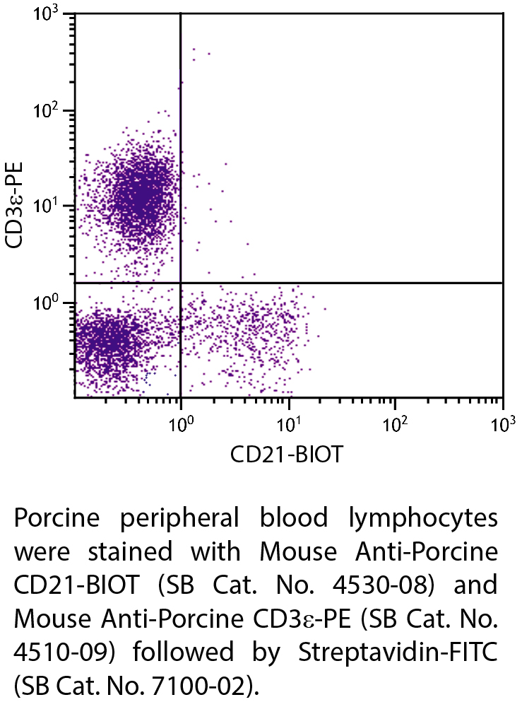 Mouse Anti-Porcine CD21-BIOT - 0.5 mg