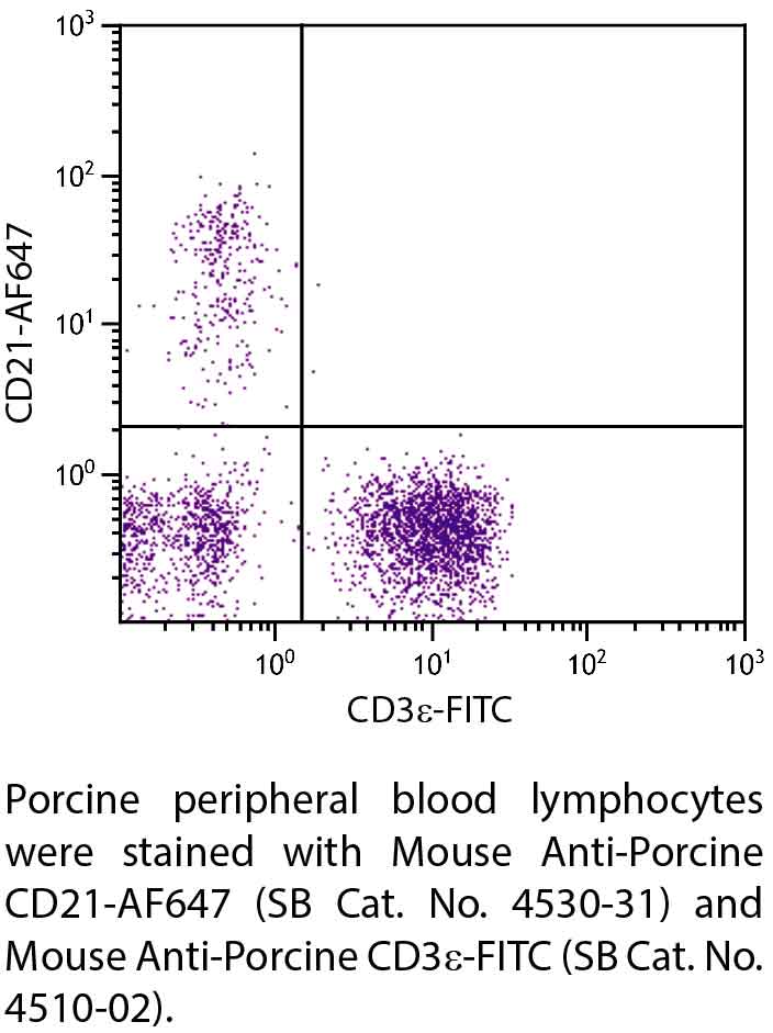 Mouse Anti-Porcine CD21-AF647 - 0.1 mg