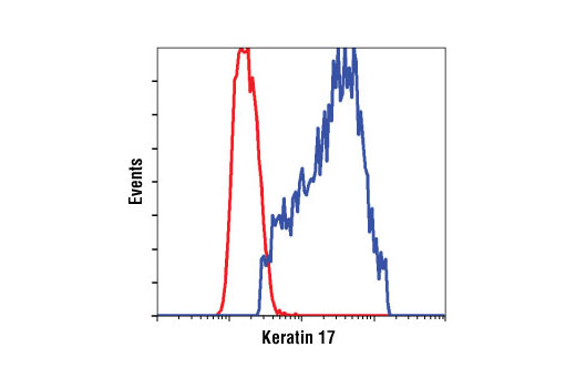 Cytokeratin Antibody Sampler Kit - 1 Kit