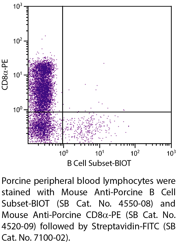 Mouse Anti-Porcine B Cell Subset-BIOT - 0.5 mg