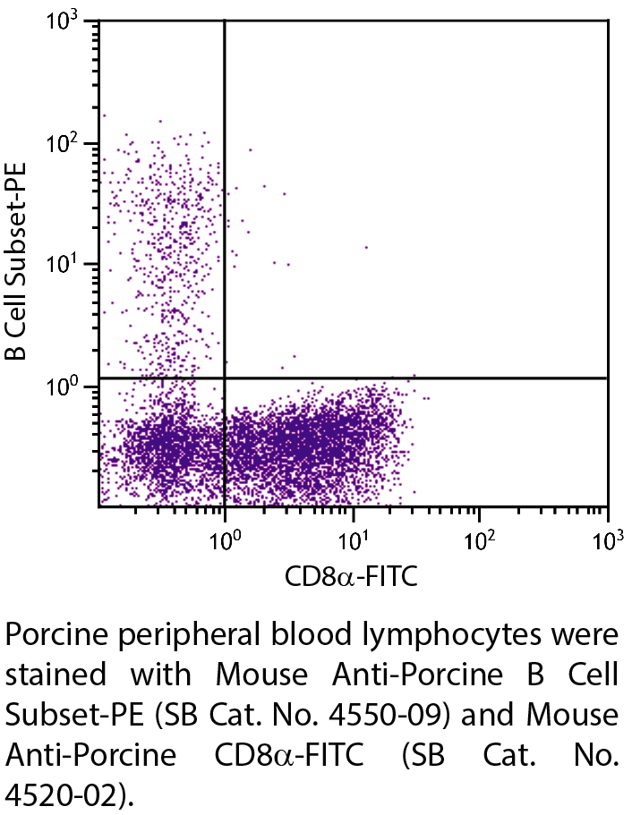 Mouse Anti-Porcine B Cell Subset-PE - 0.1 mg