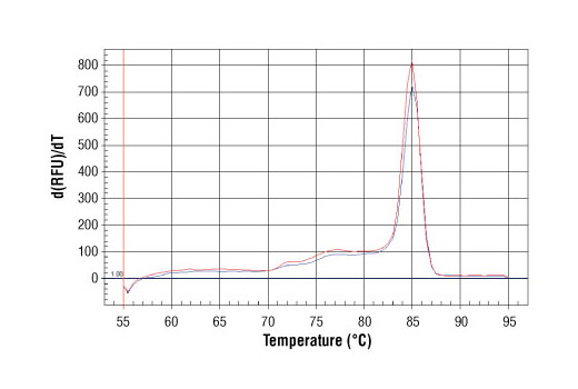 SimpleChIP® Human Oct-4 Promoter Primers - 500 ul