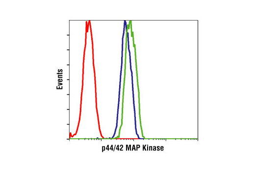 MAPK Family Antibody Sampler Kit - 1 Kit