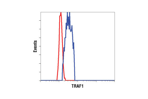 TRAF Antibody Sampler Kit - 1 Kit