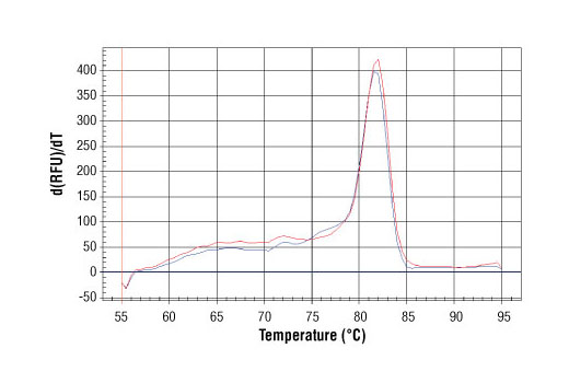 SimpleChIP® Human NR4A3 Promoter Primers - 500 ul