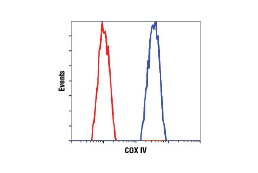 Mitochondrial Marker Antibody Sampler Kit - 1 Kit