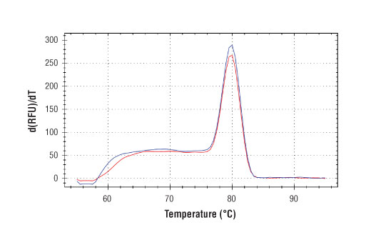 SimpleChIP® Human C/EBPδ Promoter Primers - 500 ul