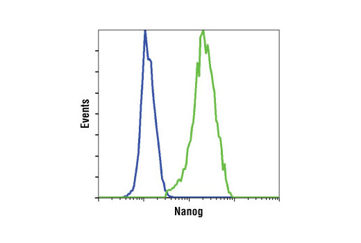 StemLight™ Pluripotency Transcription Factor Antibody Kit - 1 Kit