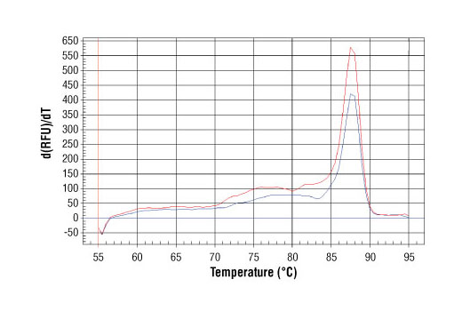 SimpleChIP® Human γ-Actin Promoter Primers - 500 ul