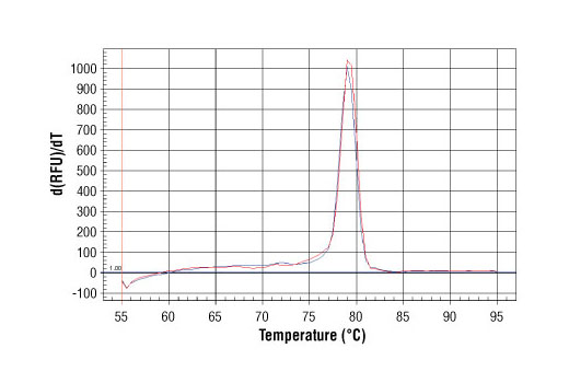 SimpleChIP® Human Sat2 Repeat Element Primers - 500 ul