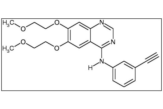 Erlotinib - 10 mg