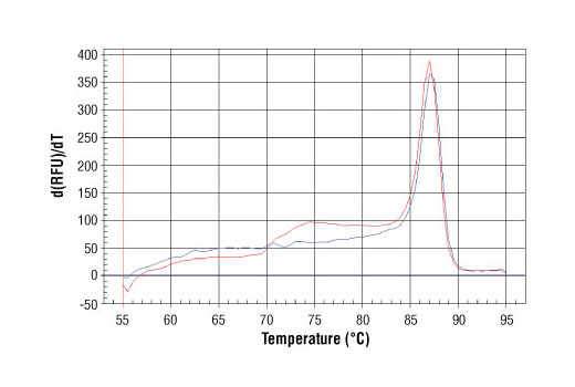 SimpleChIP® Mouse CIS Intron 1 Primers - 500 ul