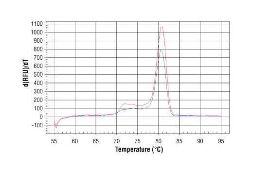 SimpleChIP® Human SUB1 Promoter Primers - 500 ul