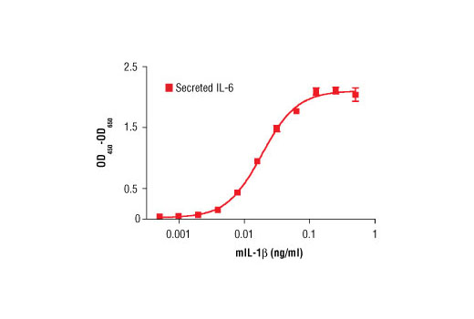 Mouse Interleukin-1β (mIL-1β)_5204SC - 10 ug