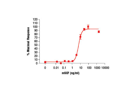 Mouse Stem Cell Factor (mSCF)_5223SC - 10 ug