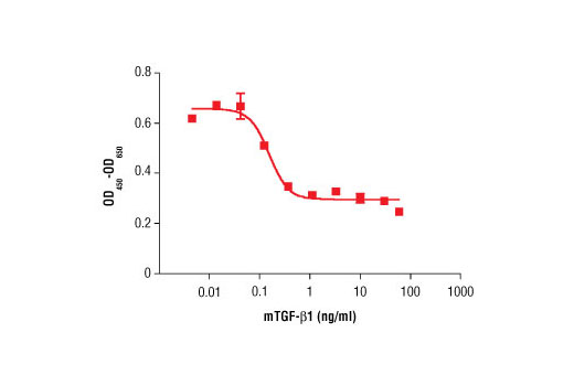 Mouse Transforming Growth Factor β1 (mTGF-β1) - 10 ug