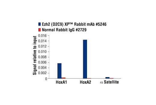 Polycomb Group 2 (PRC2) Antibody Sampler Kit - 1 Kit