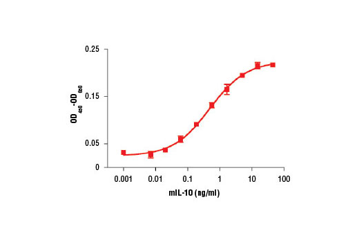 Mouse Interleukin-10 (mIL-10)_5261C - 10 ug