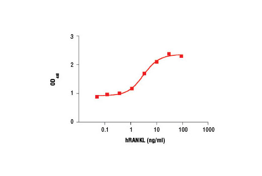Human RANKL/TRANCE/TNFSF11 (hRANKL)_5312SF - 10 ug