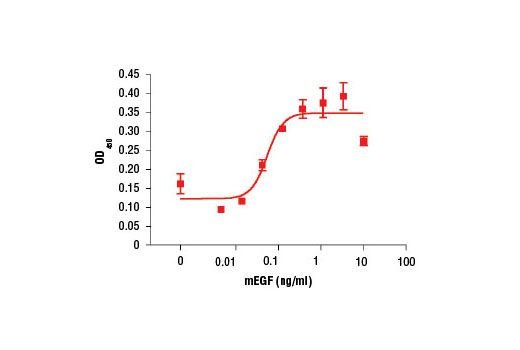 Mouse Epidermal Growth Factor (mEGF) - 50 ug