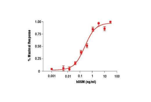 Human Oncostatin M (hOSM) - 10 ug