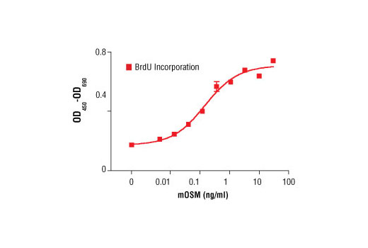 Mouse Oncostatin M (mOSM) - 25 ug