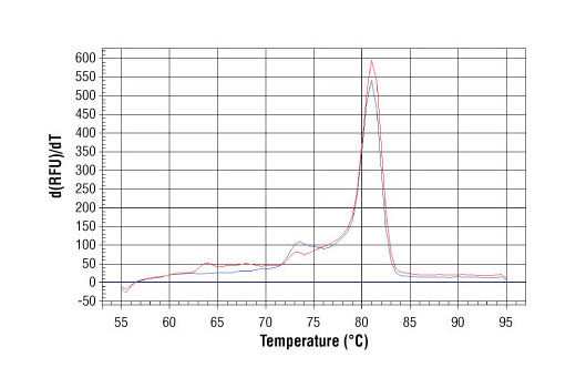 SimpleChIP® Human HoxA2 Promoter Primers - 500 ul