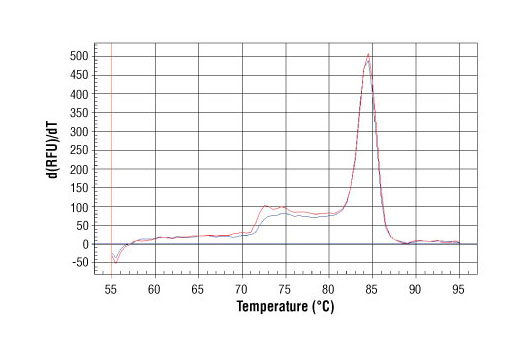 SimpleChIP® Human EGR1 Promoter Primers - 500 ul