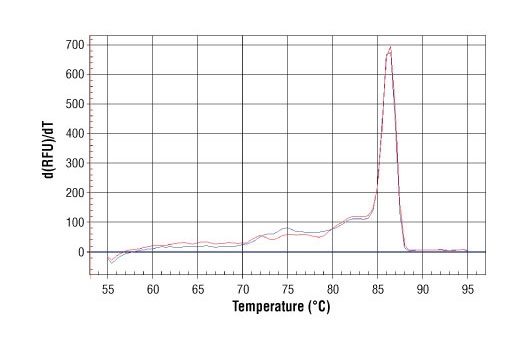 SimpleChIP® Human GATA-6 Promoter Primers - 500 ul